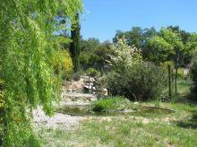 Jardin écologique et bassin aquatique